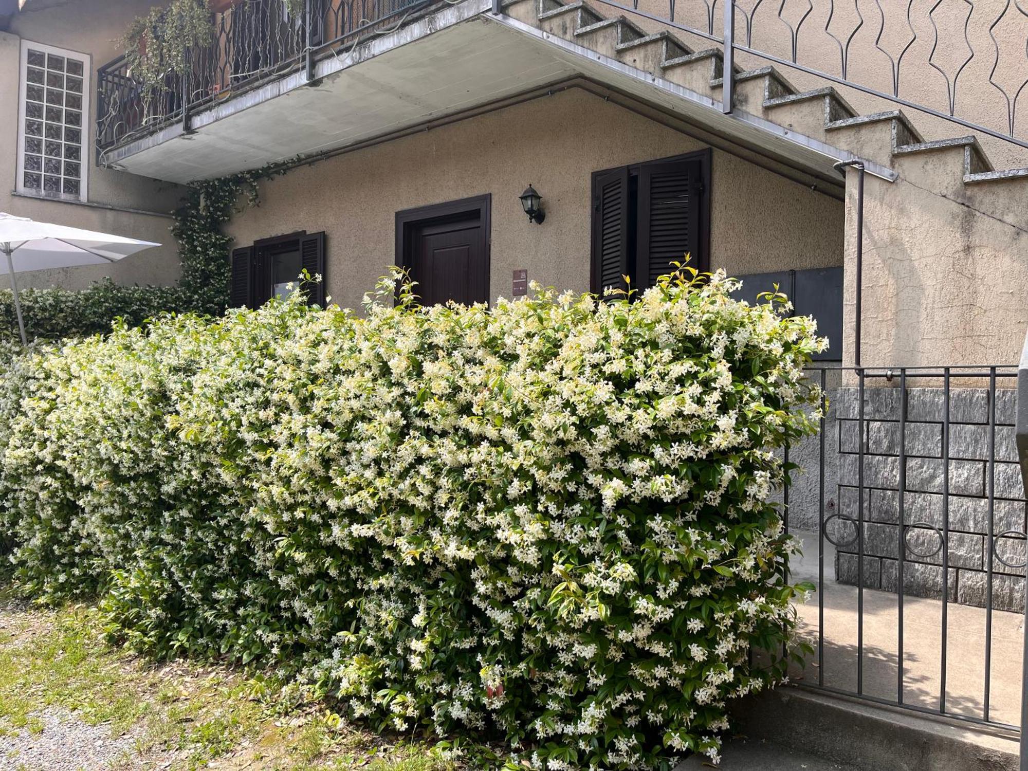 Il Cortile Como Single & Double Room In Apartment No Hotel Exterior foto